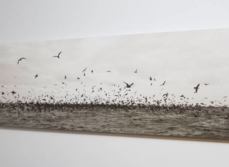 تخفیف  ۵۰ درصدی لابراتوار نور و تصویر